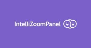 intellizoom website testing panel to test sites and earn money